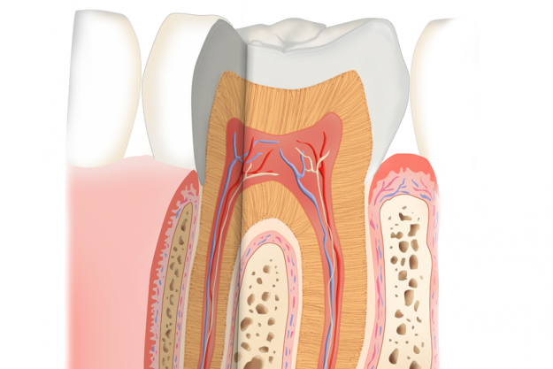 Zahnwurzelbehandlung vom Profi in Stade